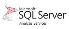 Microsoft SQL Server Analysis Services (SSAS)